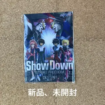 건담 S 데스티니 클리어 파일 대형