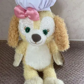 쿠키 앤 봉제 인형 S 택 포함