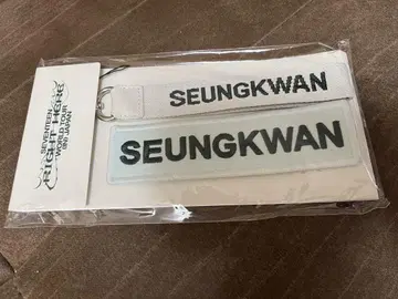 SEVENTEEN 성광 와펜 배지