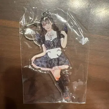 코이보리 하루카 할로윈 아크링 키링
