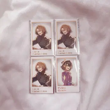 니지산지 NIJISANJI EN SitR 상하이 폴라로이드 루카 페트라