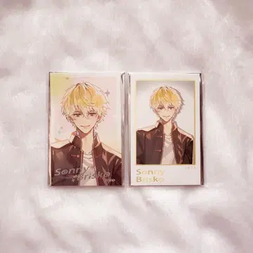 니지산지 NIJISANJI EN SitR 상하이 폴라로이드