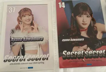 카와무라 후미노 핑포스