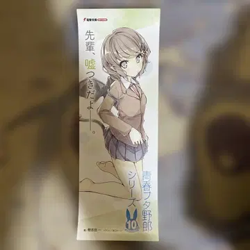 청춘 돼지 시리즈 특제 A3 반 포스터 코가 토모에