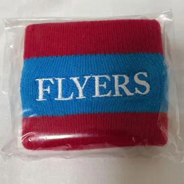 미사용 새상품 SKY-HI FLYERS 리스트 밴드 2019