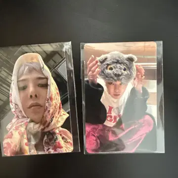 지영 전시회 입장 혜택 트레이딩 카드
