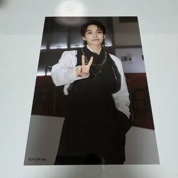 세븐틴 세부치 사과 브로마이드 정한