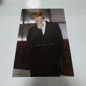 seventeen 세부치 사과 브로마이드 조슈아