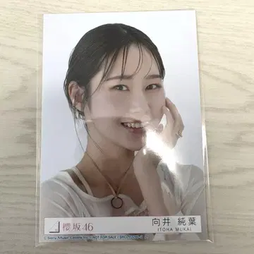 사쿠라자카46 무카이 이토하 2nd 앨범 Addiction 봉입 요리