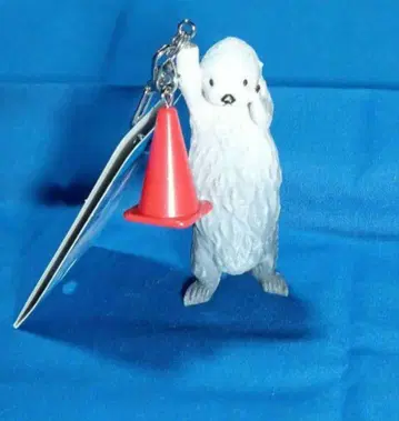 도바시 미에현 도바 수족관 랏코 메이짱 키링