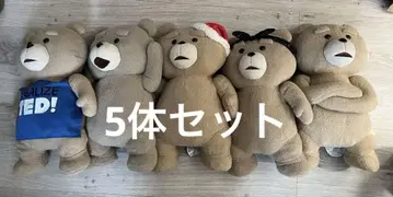 테드 봉제 인형 5종 세트