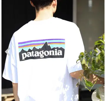 Patagonia 파타고니아 P-6 레스폰 시빌리티 티셔츠