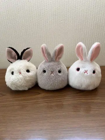 산에이 무역 라비단고 3개 세트