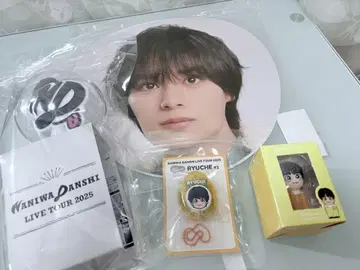 나니와단시 오니시 류세이 응원봉 부채 등...