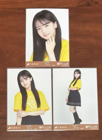 노기자카46 세토구치 코즈키 오사카 라이브 t 브로마이드 컴프