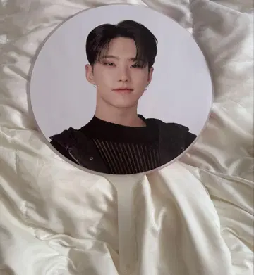 SEVENTEEN 세부치 호시 부채 FOLLOW TO JAPAN