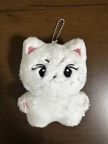 양코미 10cm 정원 ENHYPEN