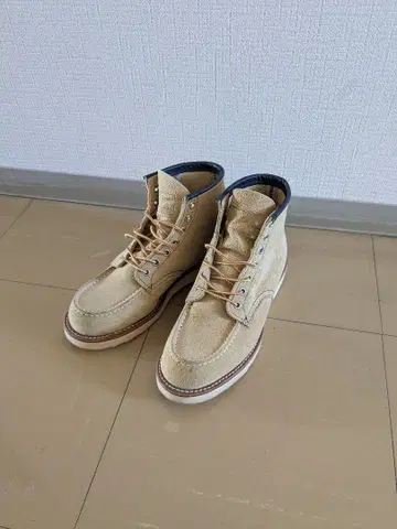 레드윙 아이리쉬 세터