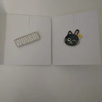 RIIZE 원빈 RIIZING LOUD 랜덤 커스텀 참