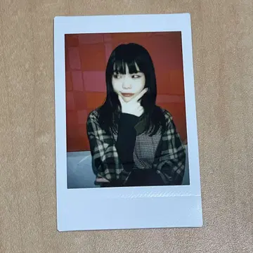 아이나 지 엔드 폴라로이드