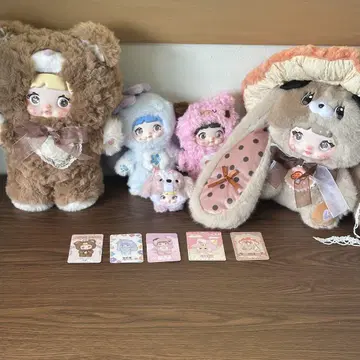 NOMMI 5종 세트 묶음 판매