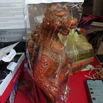 연대 제조사 불명 고질라?