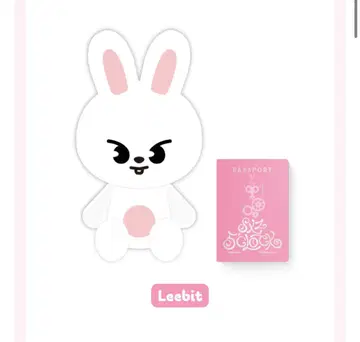 straykids skzoo Lee 비트 테디베어