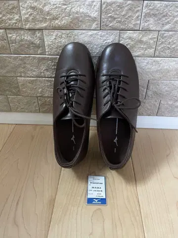미즈노 신발