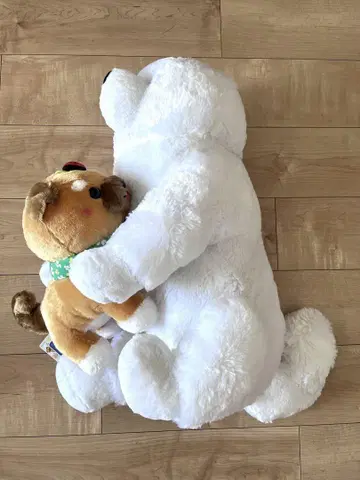 개 봉제 인형 세트
