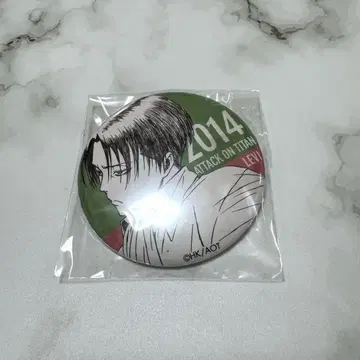 진격의 거인 리바이 WIT STUDIO 아사노 쿄지 캔뱃지