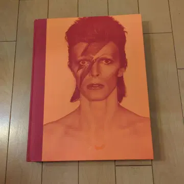 DAVID BOWIE IS INSIDE 일본어판