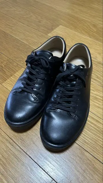문스타 Gently 젠틀리