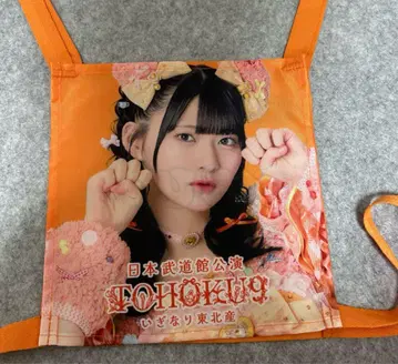 이기나리 도호쿠산 벚꽃 히나노 제켄 TOHOKU9 무도관 공연