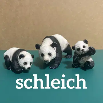 슐라이히 팬더 부모와 아이