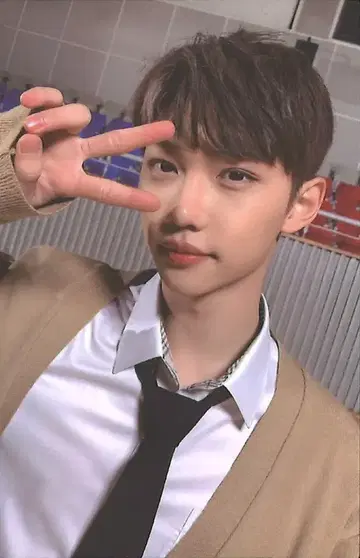Stray Kids FELIX GO 생 트레이딩 카드 C