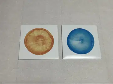 피쉬맨즈 베스트 앨범 공중 우주 2장 세트