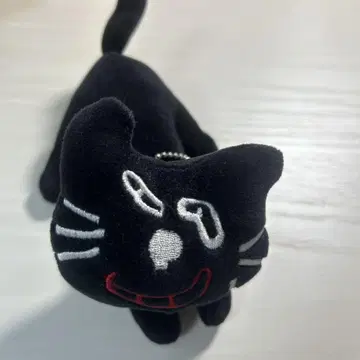 TOP4 in TOKYO DOME 신 키요 고양이 봉제 인형 키요