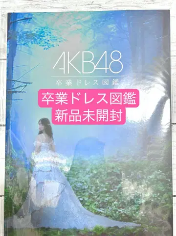 AKB48 졸업 드레스 도감 미개봉 새상품 오사레 컴퍼니 카야노 시노부