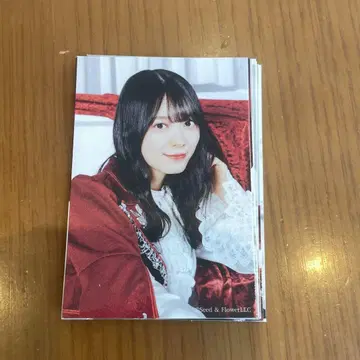 모리타 히카루 사쿠코레 참여상