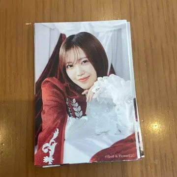 마츠다 리나 사쿠코레 참여상