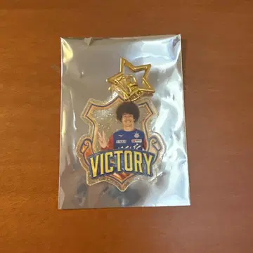 반포레 고후 미즈히라 마사시 선수 VICTORY 골드 라메 아크릴 키링