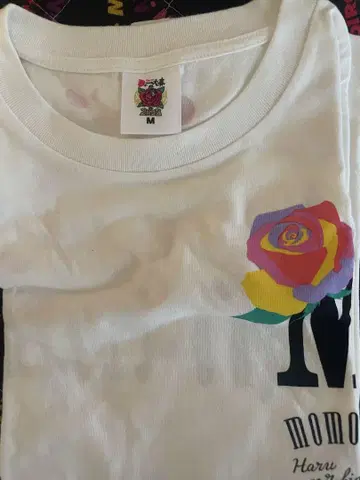 모모쿠로 셔츠 2