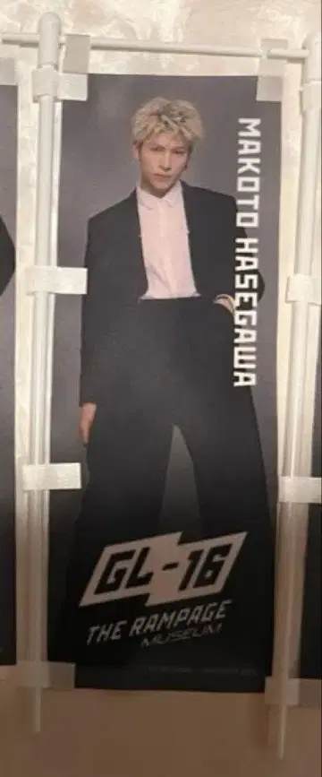 하세가와 신 미니 노보리