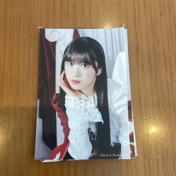 무라이 유우 사쿠코레 참여상