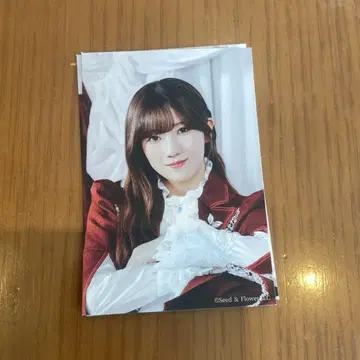 오다쿠라 레이나 사쿠코레 참여상