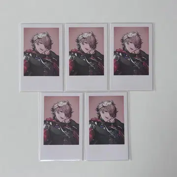 세라프 더블 가든 Standard Goods 랜덤 폴라로이드 카드