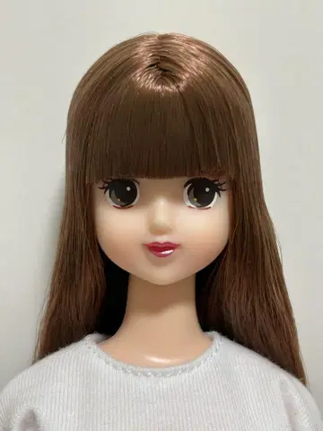 리카짱 캐슬 제니 프렌드 T 티모테