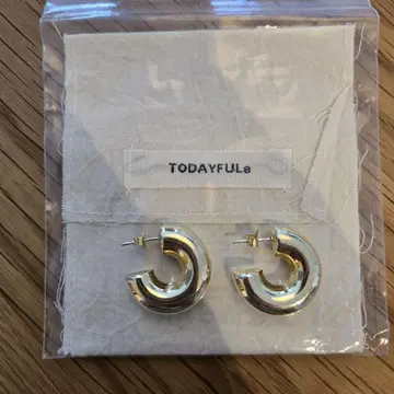 TODAYFUL Chunky Hoop Pierce 청키 후프 귀걸이