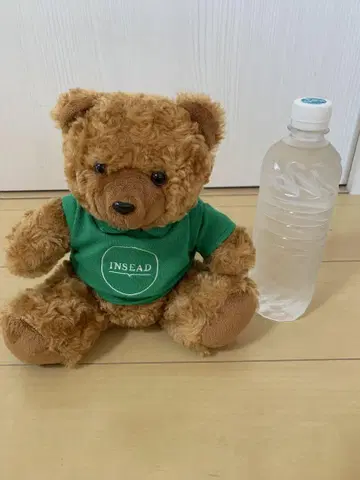 INSEAD 로고가 들어간 봉제 인형