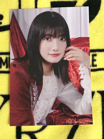 오오조노 레이 스티커 한정품